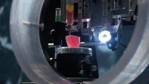 Le chirurgien Anthony Atala a présenté un rein imprimé en 3D à partir de cellules humaines lors d’une conférence TED (Technology, Entertainment and Design), enregistrée en mars 2011. (Source : TED)